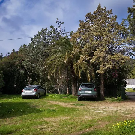 Campus - 500 Metri Dalla *