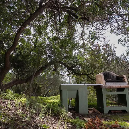 Nyaraló Campus - 500 Metri Dalla *